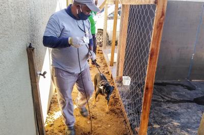 Vila Nazaré tem 59 animais esterilizados no perÃodo de quarentena