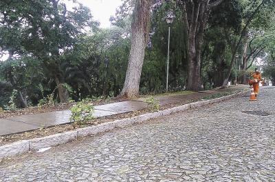 Prefeitura realiza serviços de capina e roçada nesta quinta-feira