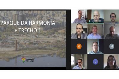 reunião virtual