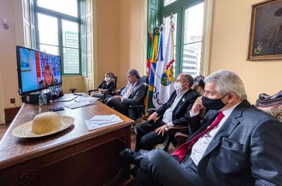 reunião virtual