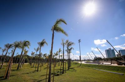 Avançam os serviços para o paisagismo do trecho 3 da Orla do GuaÃba