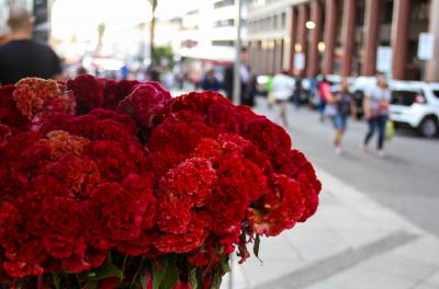 Feira oferece diversas opções de flores para o Dia das Mães