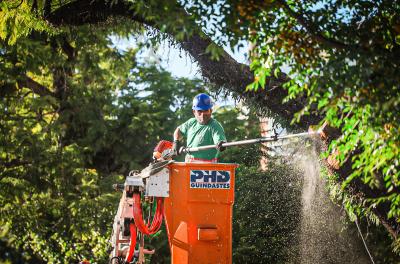 Prefeitura divulga balanço semanal de podas e supressões