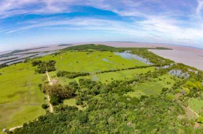 Aprovada alteração do regime urbanÃstico da Fazenda do Arado