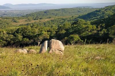 mata atlântica