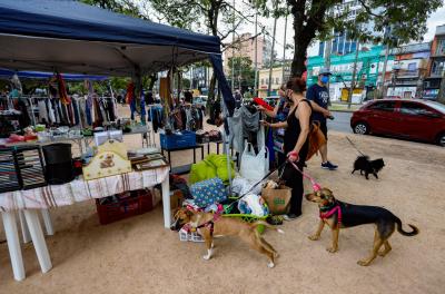 Domingo tem Brechocão no Parque Farroupilha