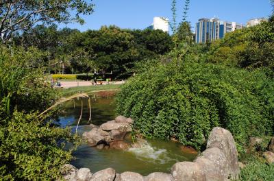 Prefeitura inicia retirada de animais do lago do Parcão