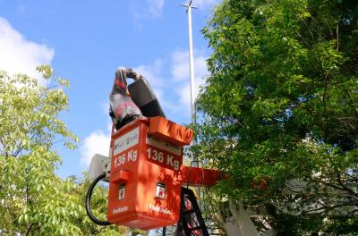 SMSUrb divulga bairros onde haverá instalação de lâmpadas de LED