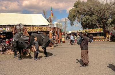 Acampamento farroupilha