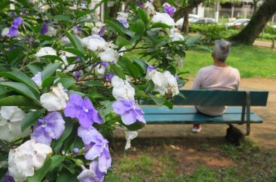 Porto Alegre realiza a 30ª edição da Semana da Primavera