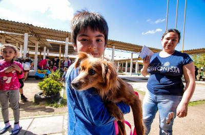 Castramóvel fará atendimento de animais em nove bairros de Porto Alegre