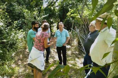Agrofloresta