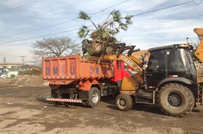 DMLU fará limpeza no bairro Sarandi neste domingo