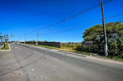 leilão