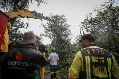 Equipes da prefeitura trabalham para minimizar danos do temporal