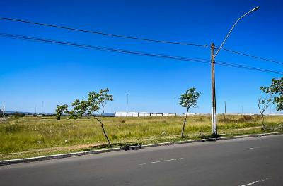 Complexo do Porto Seco