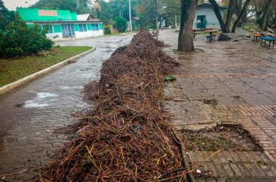 Orla do Lami recebe mutirão de limpeza neste domingo