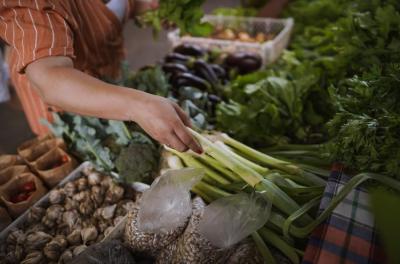 feira ecológica 