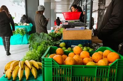 feira ecológica