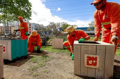 DMLU realiza 55 plantios urbanos sustentáveis em 2023