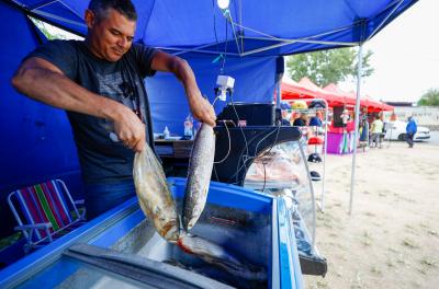 feira do peixe