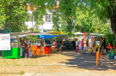 feira ecológica Auxiliadora