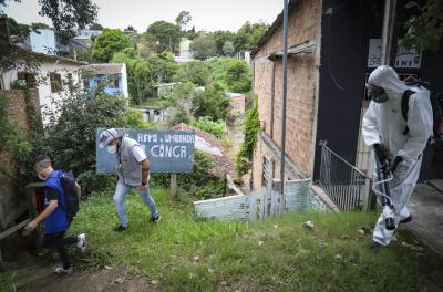 Porto Alegre tem 4.845 casos de dengue confirmados neste ano