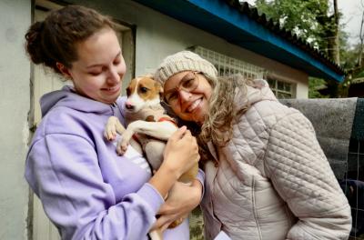 feira de adoção de animais