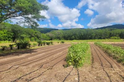 zona rural