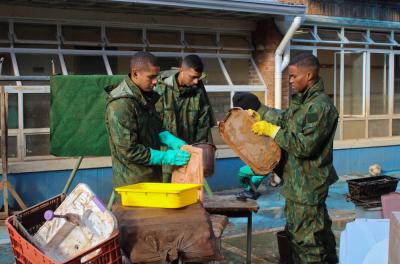 Escola infantil Ilha da Pintada recebe serviços de limpeza e recuperação