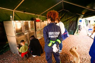 feira de adoção animal na Redenção