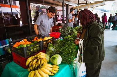 feira ecológica