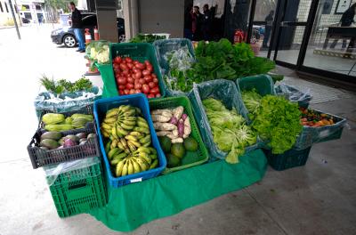 Feira Ecológica do Centro Administrativo Municipal volta a ocorrer nas quintas