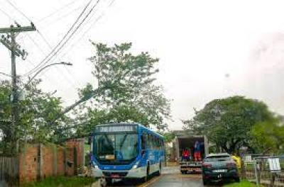 Linha de ônibus Ilha da Pintada terá mais viagens a partir desta segunda 