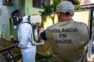 Dengue 