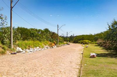 DMLU faz limpeza no bairro HÃpica neste domingo