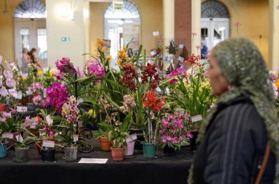 OrquÃdeas