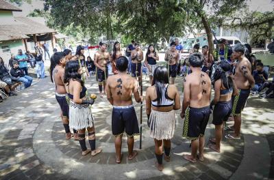 mostra indÃgena