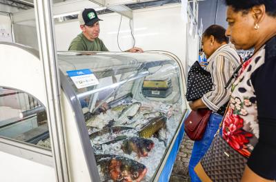 feira do peixe 2025
