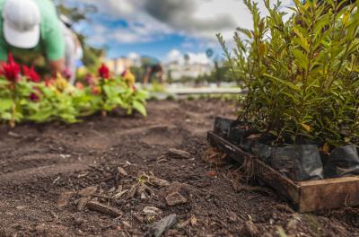 Ãrea adotada na Zona Norte receberá campanha de educação ambiental