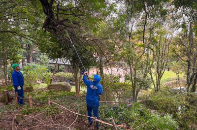 Praça ProvÃncia de Shiga recebe podas de prevenção