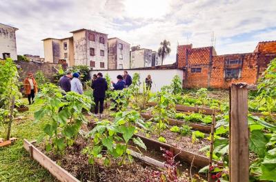 hortas agroflorestais 