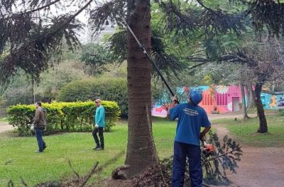 Prefeitura retoma poda preventiva no Parque Moinhos de Vento