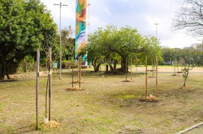 Parque Harmonia recebe mais de 490 novas árvores