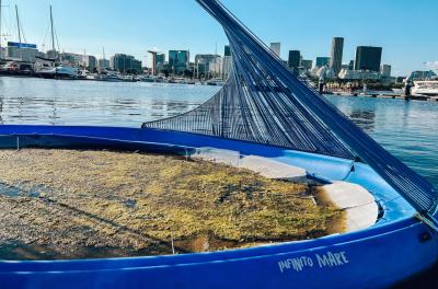 Caravela de cinco metros será instalada no Dilúvio