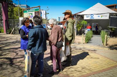 estende acampamento