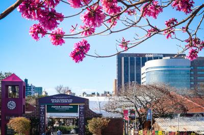 Acampamento farroupilha 