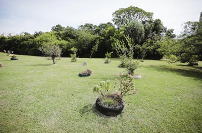 Porto Alegre lança serviço Seja Prefeito de Praça pelo WhatsApp do 156