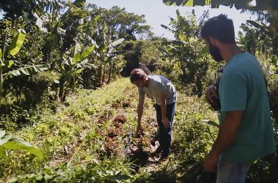 Aberto cadastro de interesse para implantação de sistemas agroflorestais