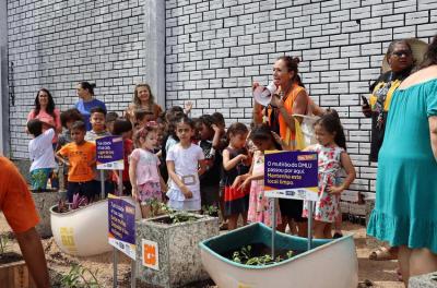 Plantio Urbano Sustentável marca o inicio dos 50 anos do DMLU